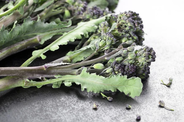 Long Stemmed Broccoli — Stock Photo, Image