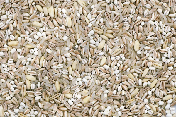 Grain Texture — Stock Photo, Image