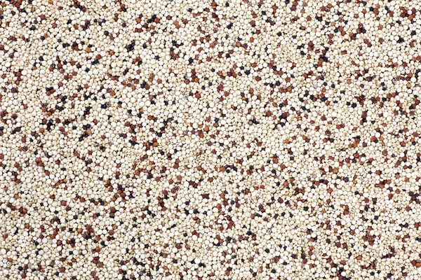 Mixed Quinoa Background — Stock Photo, Image