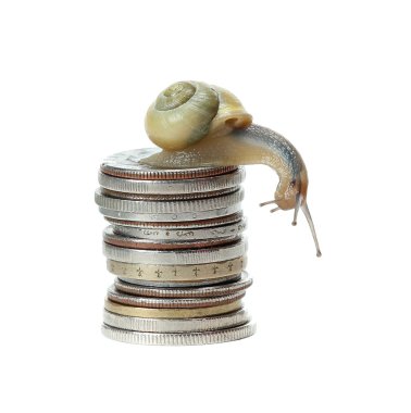 Snail on money clipart