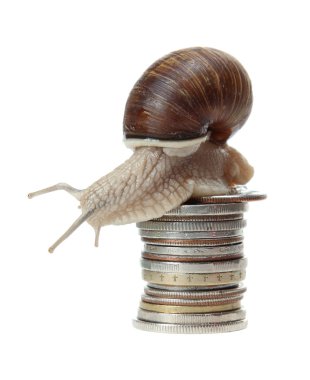 Snail with coins clipart