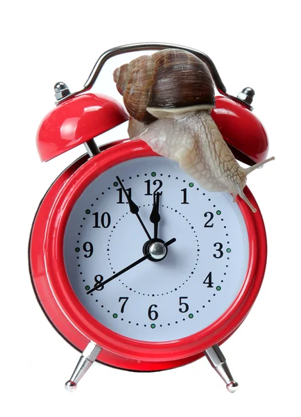 Red alarm-bell with snail — Stock Photo, Image