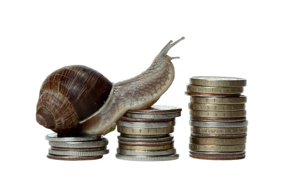 Snail scrambles coins — Stock Photo, Image