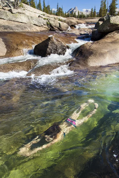 Junge Frau schwimmt unter Wasser. — Stockfoto