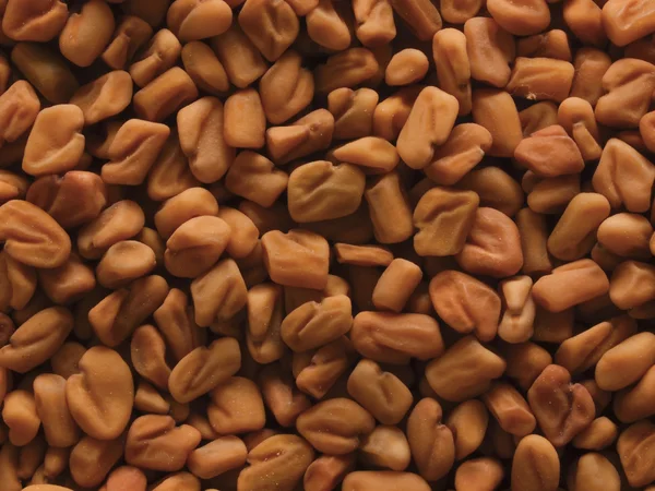 Семена пажитника — стоковое фото