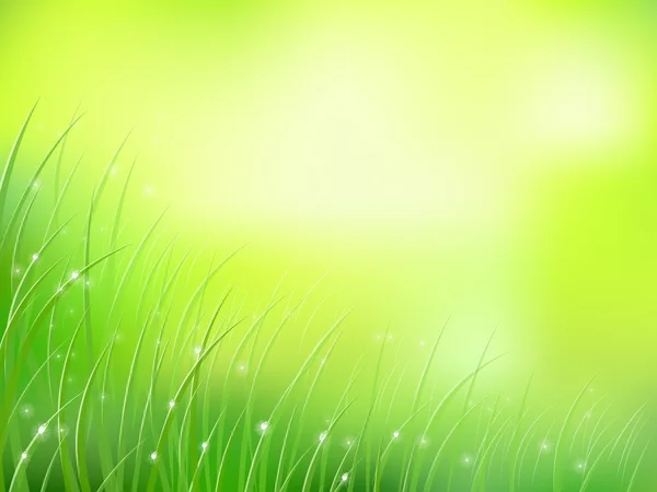 Matin soleil herbe tôt rosée softfocus modèle — Image vectorielle