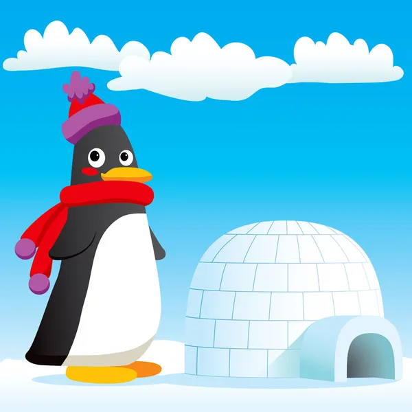 Pinguino nuova casa — Vettoriale Stock