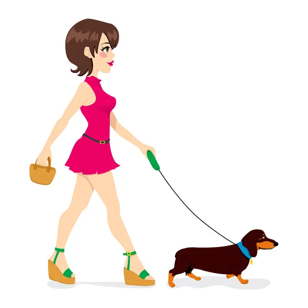 女人走路腊肠狗 — 图库矢量图片