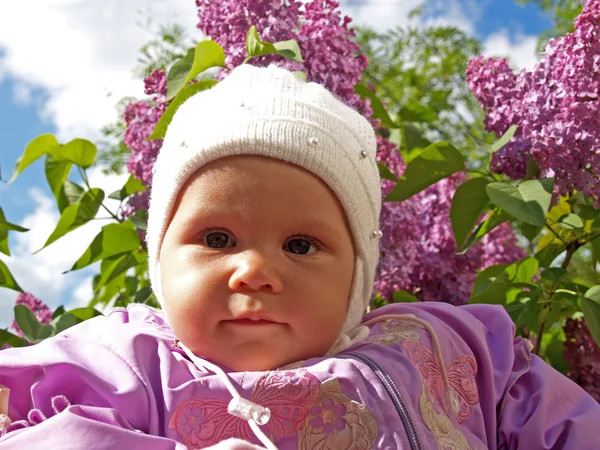 Retrato del bebé contra una lila floreciente — Foto de Stock
