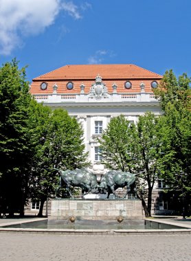 Kaliningrad, Rusya bir heykel bizonlar Bina Teknik Üniversitesi önce mücadele