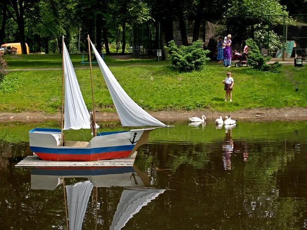 La alimentación de los cisnes en el parque de Guryevsk de la región de Kaliningrado, Rusia — Foto de Stock