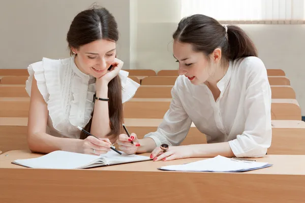 Two students make lessons Stock Picture