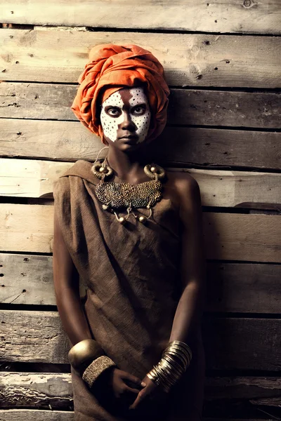 아프리카 여자의 초상화 로열티 프리 스톡 사진