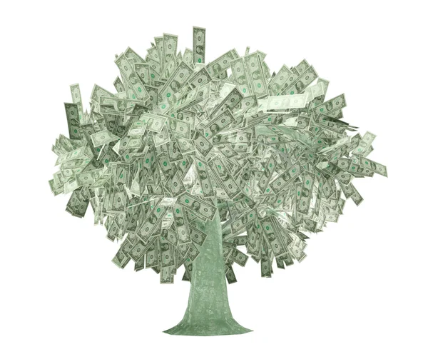 Drzewo dolarów — Zdjęcie stockowe