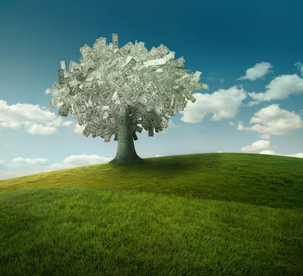 Dollars tree — Stock Image Dollars tree Royalty Free Stock Images