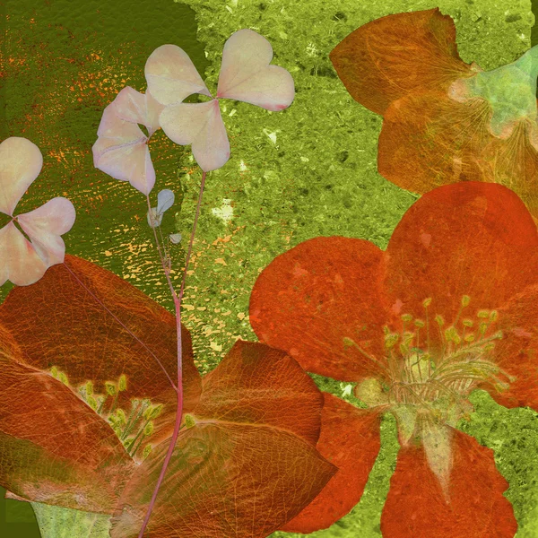 Arte vintage fondo floral — Foto de Stock