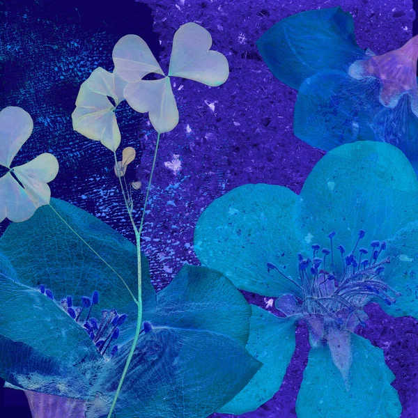 아트 빈티지 꽃 배경 — 스톡 사진