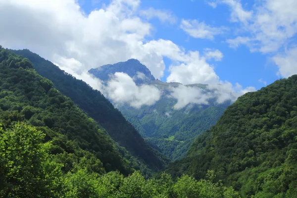 Zomer landschap met Kaukasus groene bergen — Stockfoto