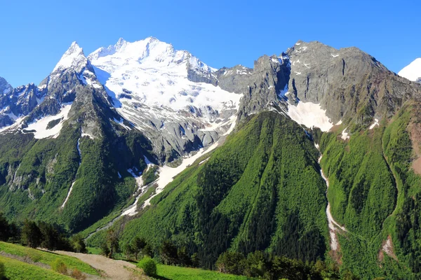 Montañas del Cáucaso Dombai —  Fotos de Stock