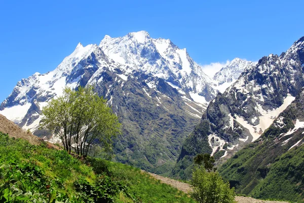 Кавказькі гори Dombai — стокове фото