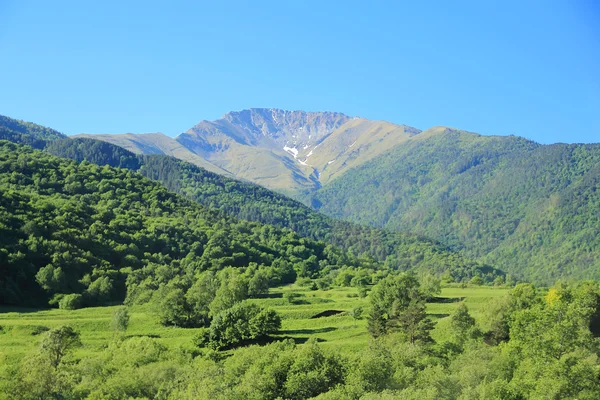 Montagne del Caucaso Dombai — Foto Stock