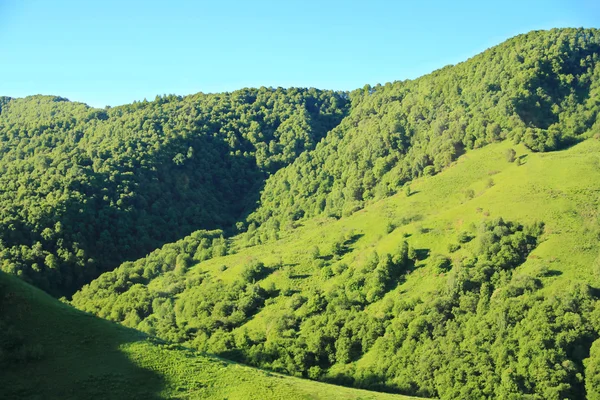 Krajobraz lato z zielonej góry Kaukazu — Zdjęcie stockowe