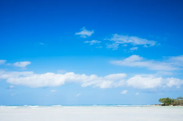 Moře a tropické nebe v Karibiku beach — Stock fotografie