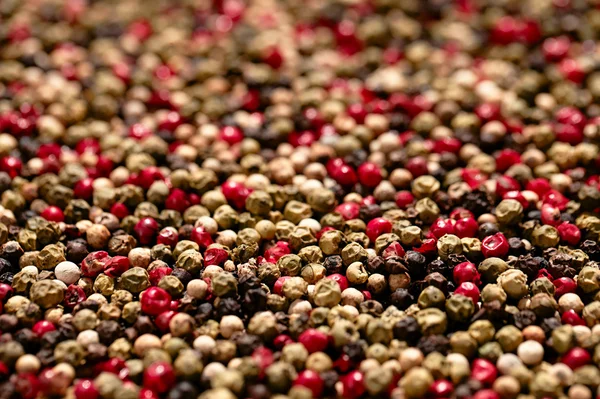 Red, black, green and white peppercorns, shallow dof — Stock Photo, Image