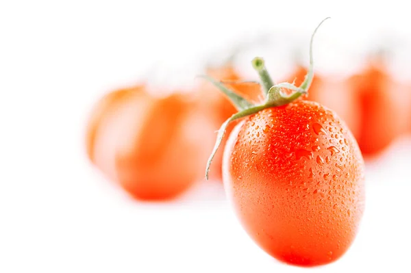 Cherry tomato on white backdrop with tomatoes on background, sh — Stock Photo, Image