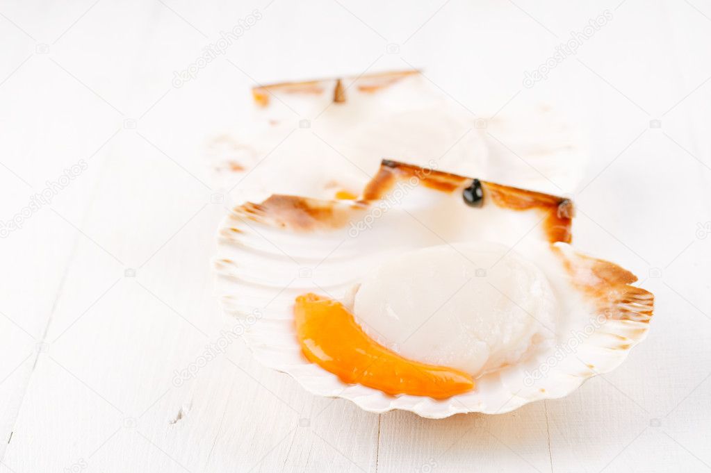 Two open raw scallops, on white wooden backdrop, seafood