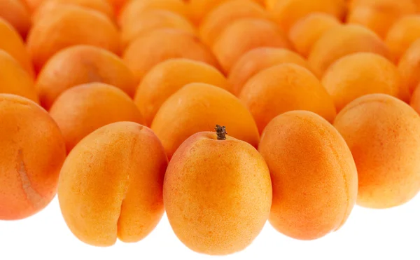 Apricots background partly isoltaed on white, full frame, shallow DOF — Stock Photo, Image