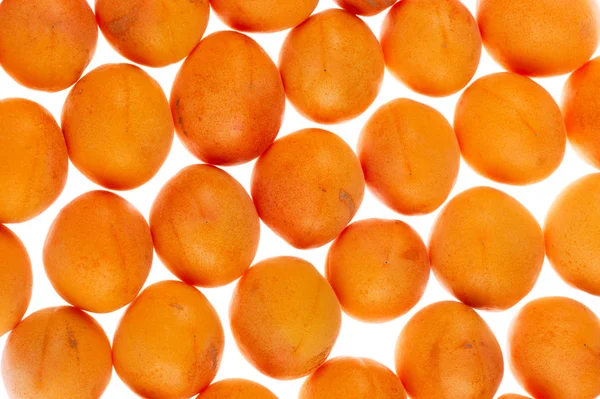 Apricots on backlit white background, full frame, shallow DOF — Stock Photo, Image