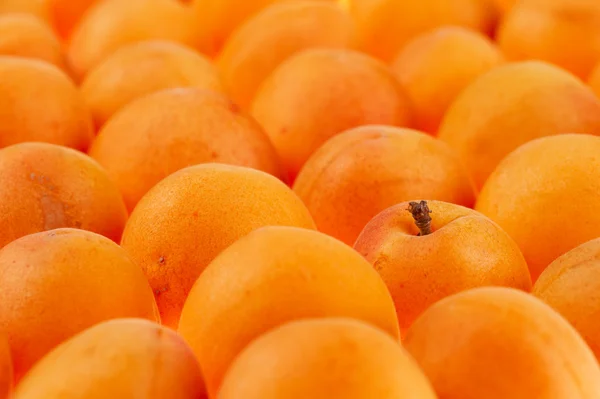 Apricots background, full frame, shallow DOF — Stock Photo, Image