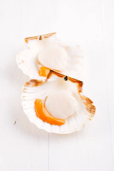 stock image Two open raw scallops, on white wooden backdrop, seafood