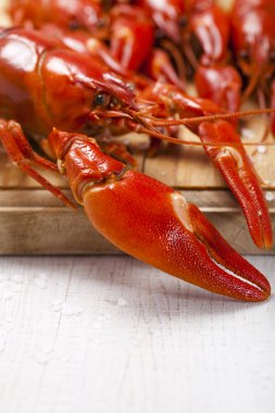 Cooked freshwater crayfish on wooden board clipart