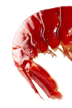 Nice red crustacean tail against white clipart