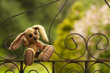 Small rabbit soft toy sitting in an iron fence, Author's work wi clipart