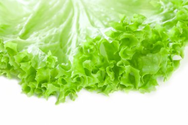 Romaine lettuce leaf, on white clipart