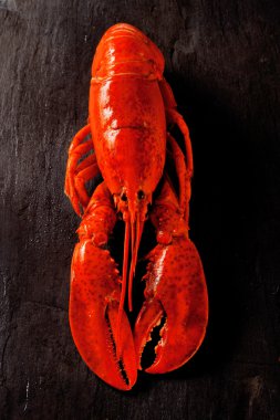 Cooked lobster on black slate table clipart