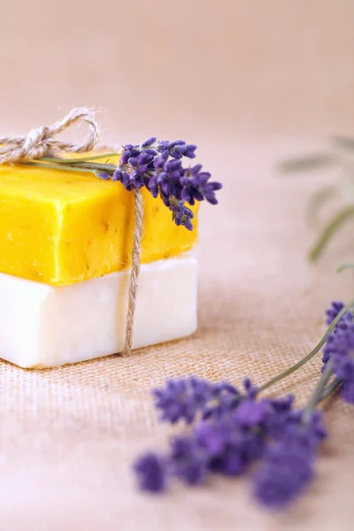 Homemade soap bars with lavender flowers — Stock Photo, Image