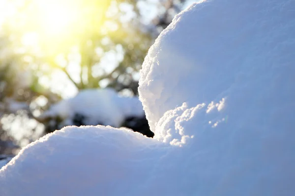 Blaue Schneewehe im Wald mit Sonnenstrahl — Stockfoto