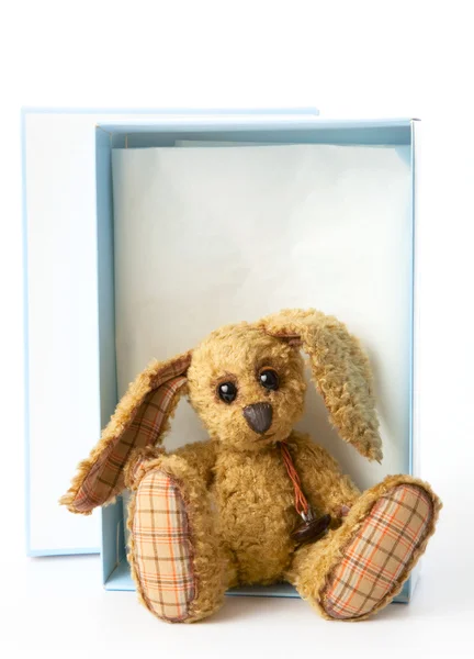 Cute rabbit bunny soft toy,sitting in a gift box, — Stock Photo, Image