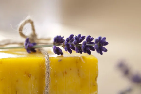 Homemade soap bar with lavender flower, shallow DOF, super macro — Stock Photo, Image