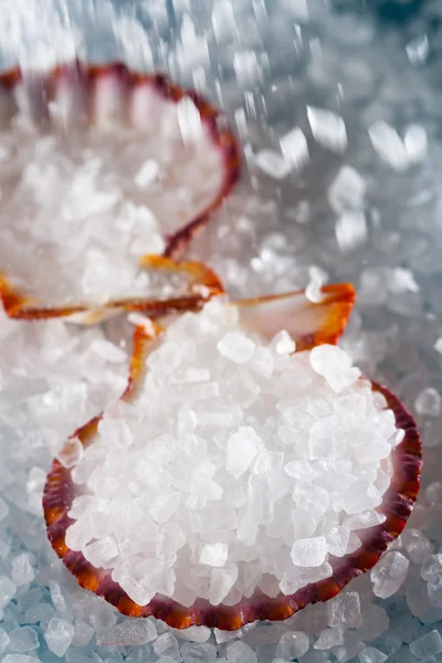 Verter la sal marina en una concha sobre el fondo de la sal — Foto de Stock