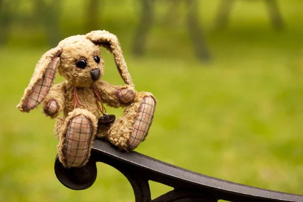 Small rabbit soft toy sitting in an iron bench, Author's work wi — Stock Photo, Image