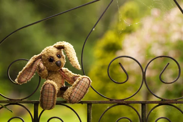 Small rabbit soft toy sitting in an iron fence, Author's work wi — Stock Photo, Image