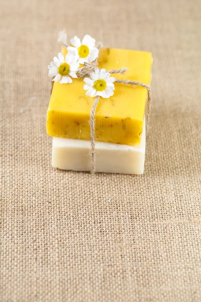Homemade soap bars with camomile flowers, large copy space — Stock Photo, Image