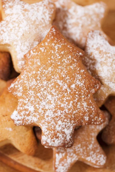 Homemade christmas gingerbread tree cookie on stars, dusted — Stock Photo, Image