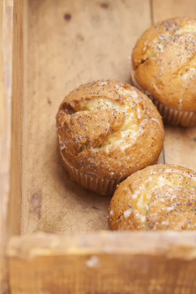 Drie papaverzaad en citroen muffins in houten kist — Stockfoto