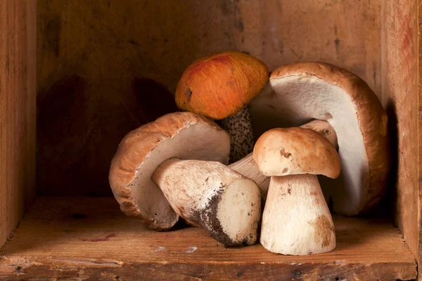 Natureza morta com cogumelos de boleto de floresta brancos em caixa de madeira, sh — Fotografia de Stock